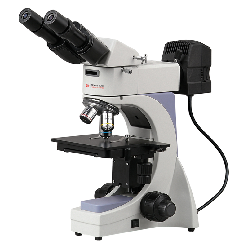 MM-1144.jpg