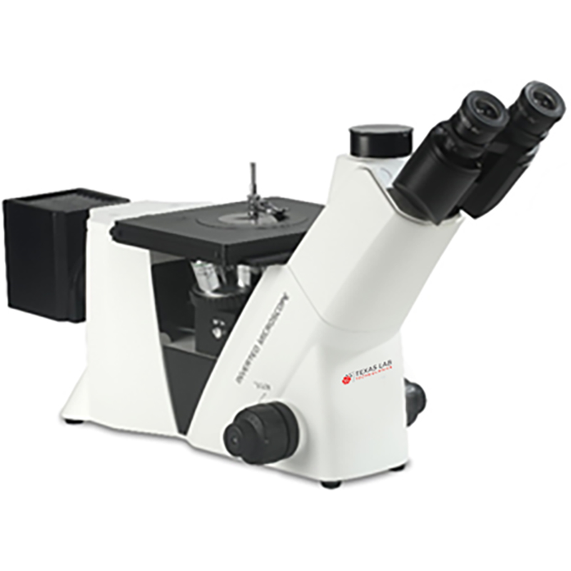 MM-2488.jpg
