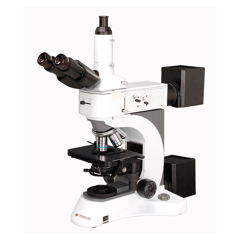 MM-3240.jpg