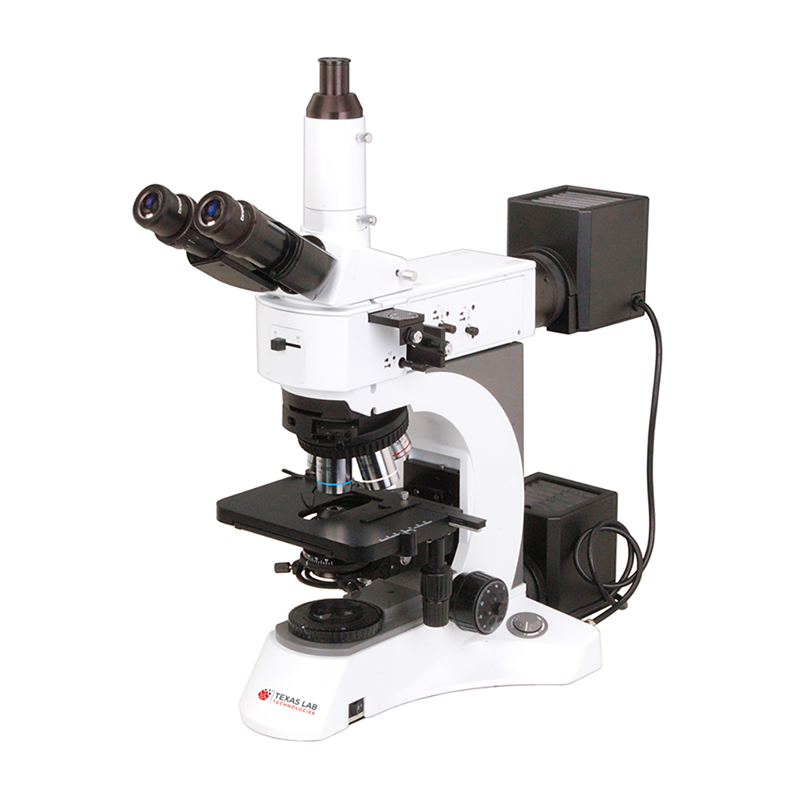 MM-3380.jpg