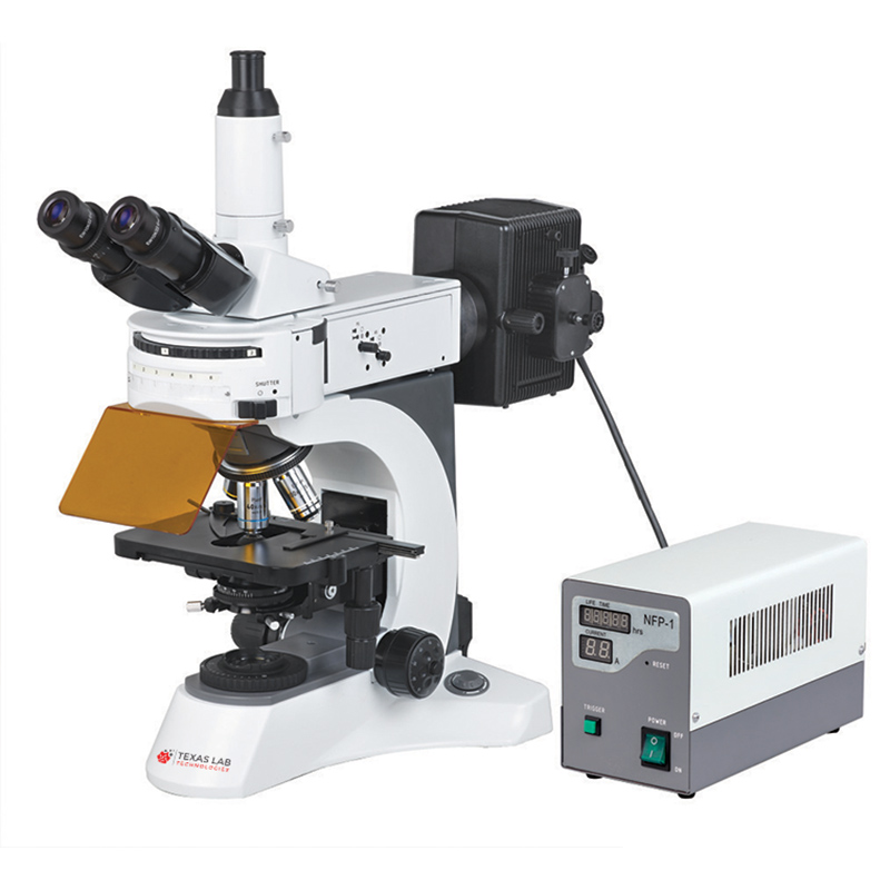 TFM-2100.jpg